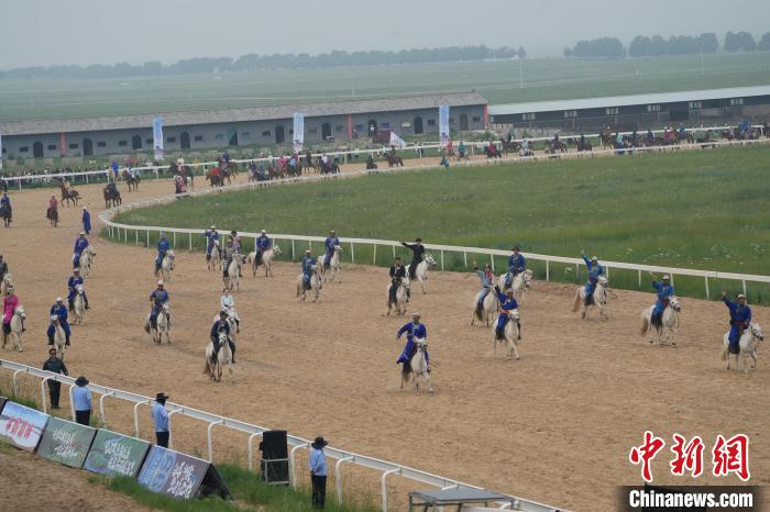 锡林郭勒草原盛夏决赛“马超”：牧民风采与草