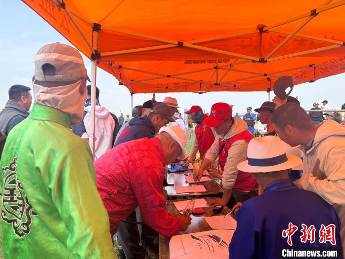 锡林郭勒草原盛夏决赛“马超”：牧民风采与草