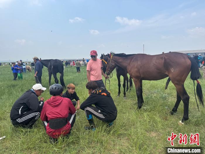 锡林郭勒草原盛夏决赛“马超”：牧民风采与草