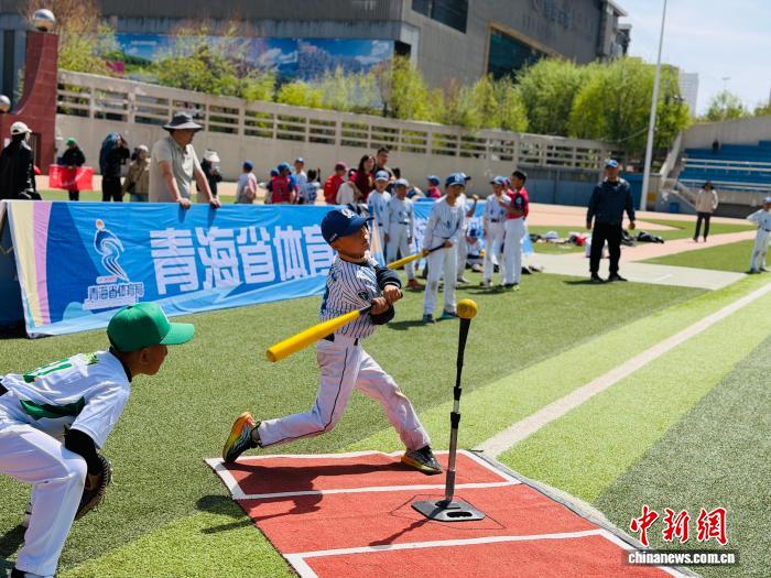 青海学生棒球公开赛点燃高原体育热情 赛事文旅